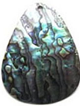 paua abelone pendant