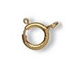 gold spring clasp