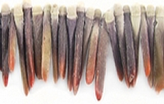 Sea Urchin Spine Beads