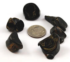 Black coral nugget beads rough cut