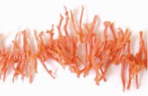 salmon coral branches