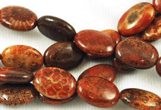 Fossilized coral oval beads