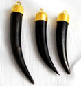 Vintage pendants and black horn tooth