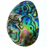 paua abalone pendant shell