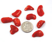 Vintage red coral natural cabochons